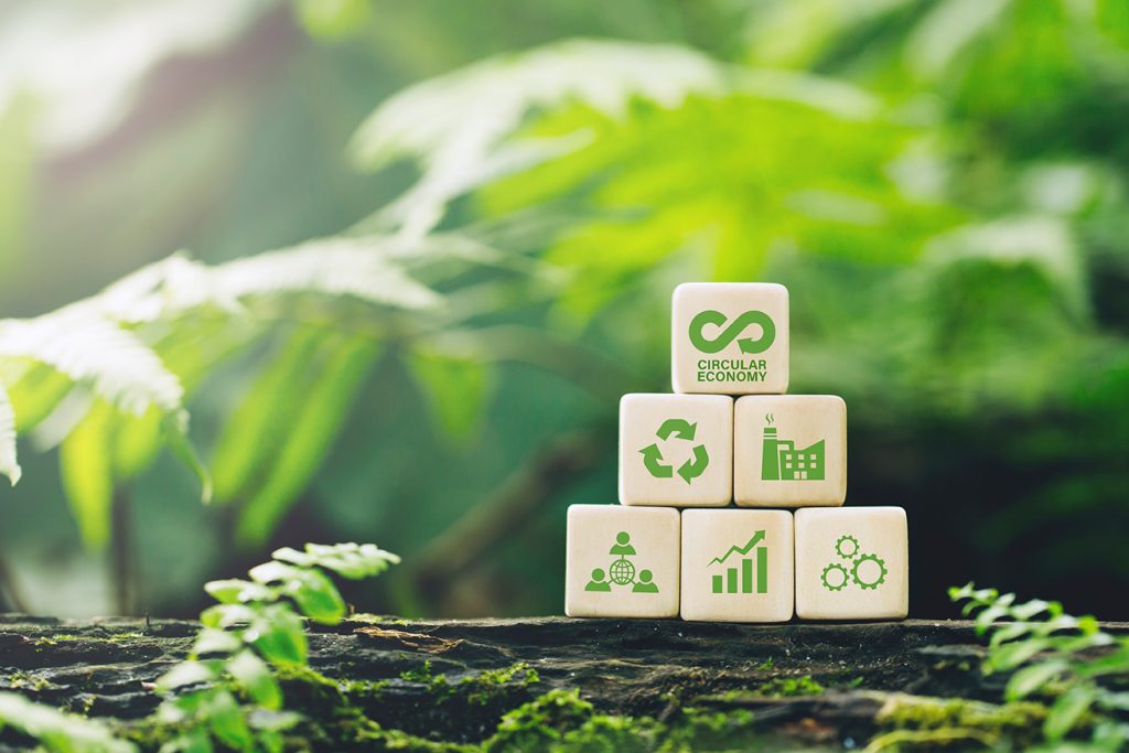 Immagine illustrativa di progetti di economia circolare con termoregolazione ad alta temperatura nel trattamento dei rifiuti con gassificazione e pirolisi di biomasse